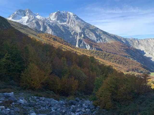 Cumbres De Los Picos Apartamento La Yedra Poo  Екстер'єр фото